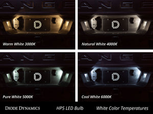 194 LED Bulb HP5 LED Warm White Single Diode Dynamics
