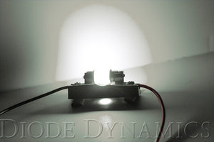 31mm HP6 LED Bulb LED Cool White Pair Diode Dynamics
