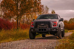 Load image into Gallery viewer, 2015-2016 Ford F-150 RGBW LED Boards Diode Dynamics
