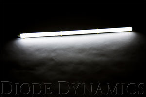 LED Strip Lights High Density SF Cool White 12 Inch Diode Dynamics