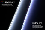 Load image into Gallery viewer, RGBW 200cm Strip SMD120 M8 Diode Dynamics
