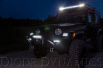 Load image into Gallery viewer, 12 Inch LED Light Bar  Single Row Straight Clear Flood Pair Stage Series Diode Dynamics
