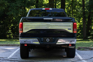 Stage Series Reverse Light Kit for 2015-2020 Ford F-150, C2 Sport Diode Dynamics